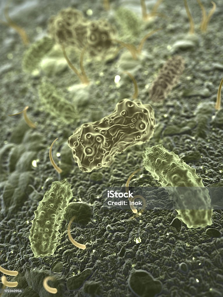 Los microbios - Foto de stock de Plancton libre de derechos