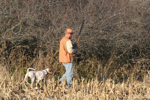 istock Hunter and English Pointer - Pheasant Season 172341450