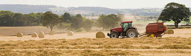 ultimo paglia (agricoltura, agricoltura, raccolto - england field autumn season foto e immagini stock