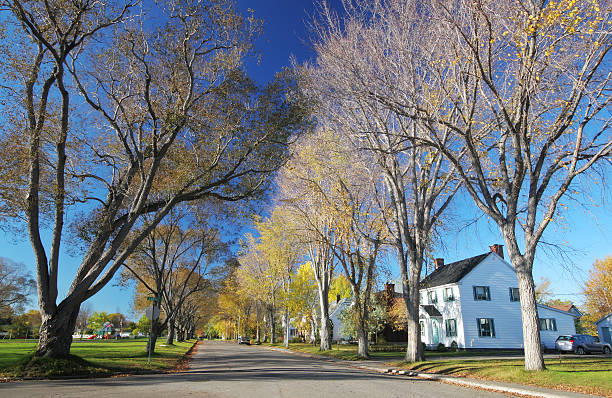 istock Autumn trees over a rustic residential street 172342066