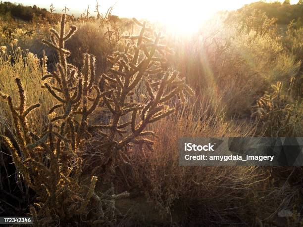 Foto de Mobilestock Sudoeste Paisagem Ao Pôrdosol e mais fotos de stock de Albuquerque - Novo México - Albuquerque - Novo México, Amarelo, Artemísia