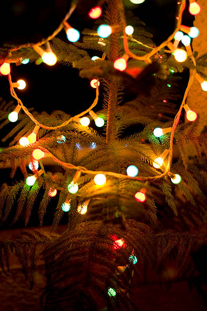 Christmas Lights on a Christmas Tree