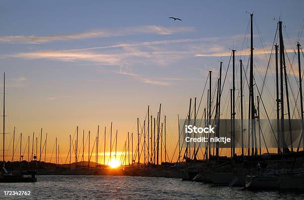 Tramonto Nel Porto - Fotografie stock e altre immagini di Acqua - Acqua, Albero maestro, Andare in barca a vela
