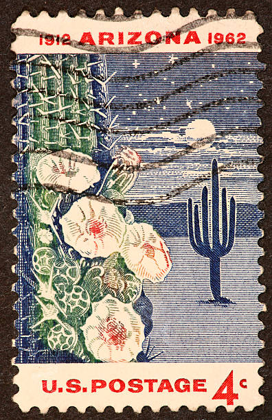 arizona carimbo 1962 - arizona postage stamp cactus travel imagens e fotografias de stock