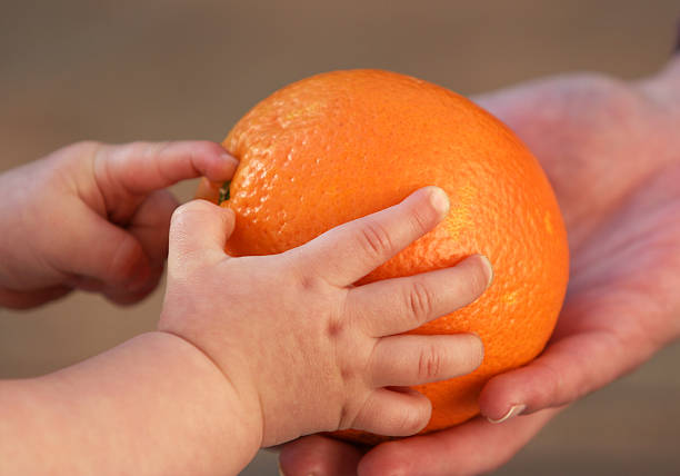 istock Baby Hands on an Orange 172342989