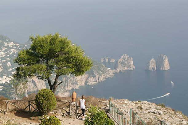 istock Capri view with Faraglioni 172343074