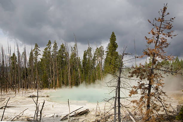 Hot spring, para fumadores - foto de stock