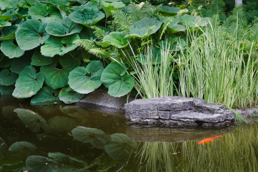 Beautiful cascading fountain in magical garden pond. Bolted irises bloom with yellow flowers along shore. Sun is reflected in mirror-clear water. Atmosphere of relaxation, tranquility and happiness.