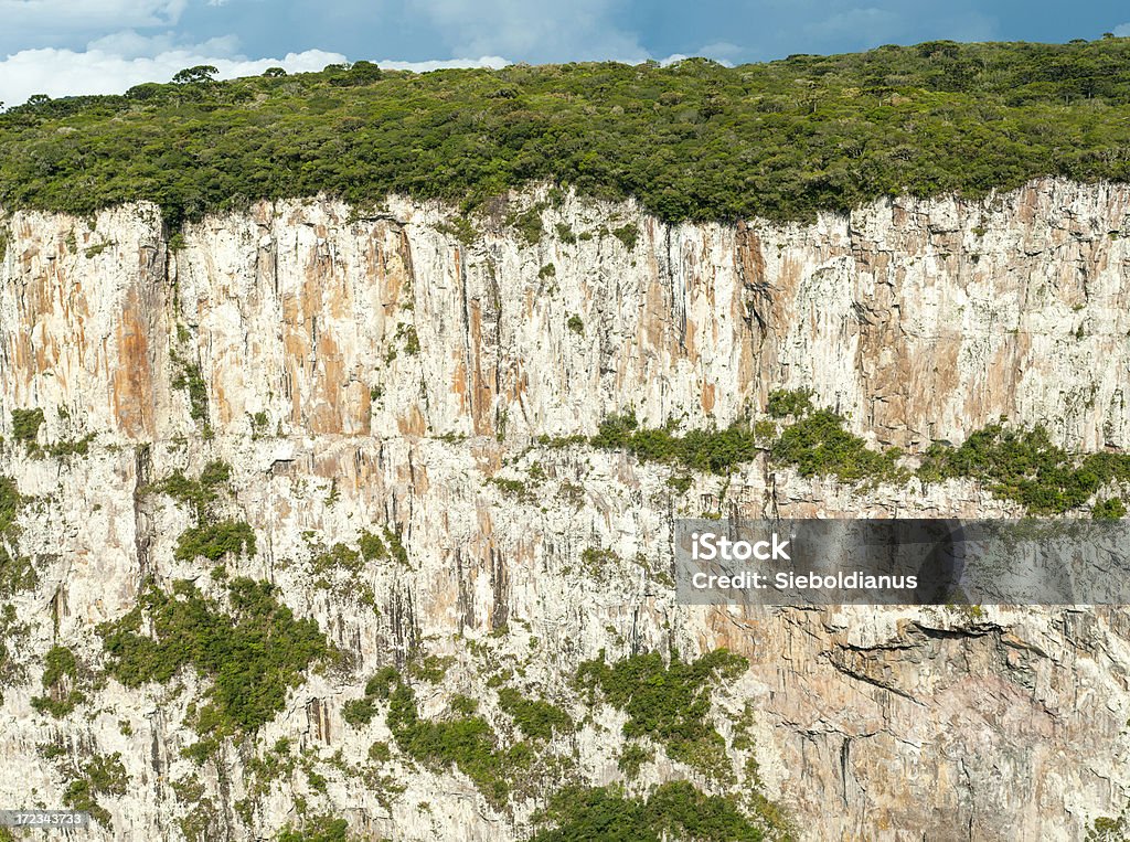 800m high solid rock wall in Itaimbezinho Canyon, Brazil. "800m high solid rock wall in Itaimbezinho Canyon, Brazil.The forest seen on the plateau is part of the subtropical Araucaria moist forests ecoregion of southern Brazil.Related:" Awe Stock Photo