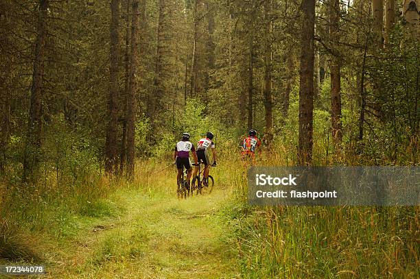 Kolarstwo Górskie - zdjęcia stockowe i więcej obrazów Jeździć na rowerze - Jeździć na rowerze, Lasek, Bicykl