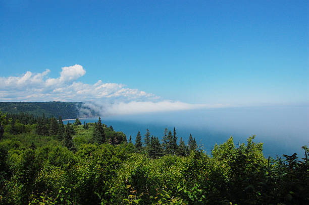 vue aérienne de l'océan et la forêt - horizon over water white green blue photos et images de collection