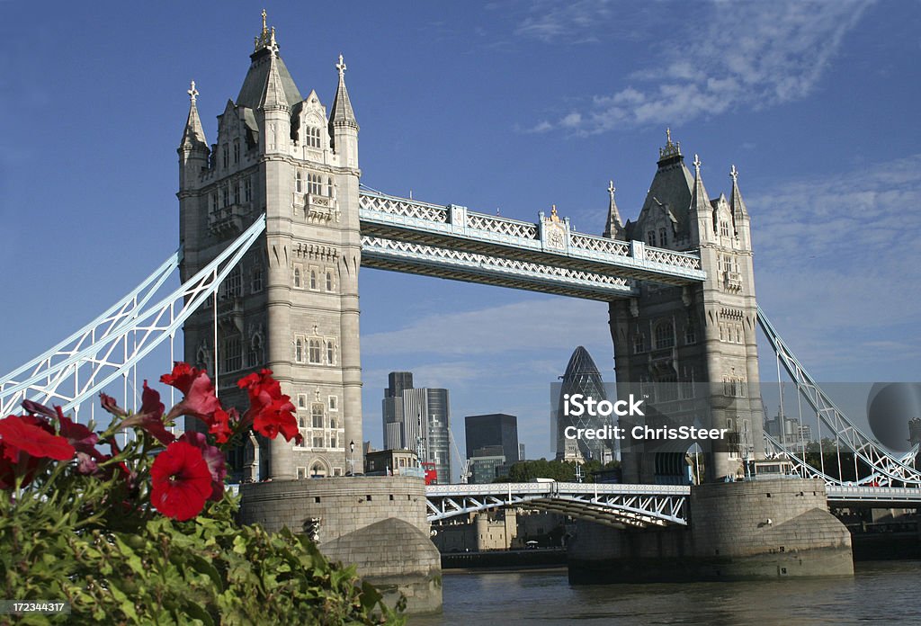 Tower Bridge sobre el río Támesis - Foto de stock de Flor libre de derechos