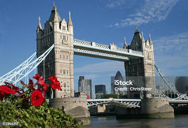 Wieża Most Nad Tamizą - zdjęcia stockowe i więcej obrazów Kwiat - Roślina - Kwiat - Roślina, Tower Bridge, Anglia