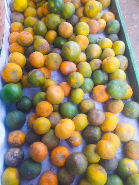 istock fruits for health 1723446349