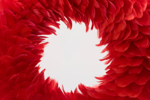Closeup of wreath made of red feathers