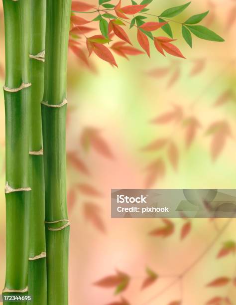 Bambusherbst Stockfoto und mehr Bilder von Bambus - Graspflanze - Bambus - Graspflanze, Bambus - Material, Blatt - Pflanzenbestandteile