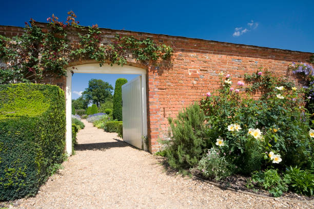 Entrance antique wrought-iron door to the house and overgrown walls with ivy