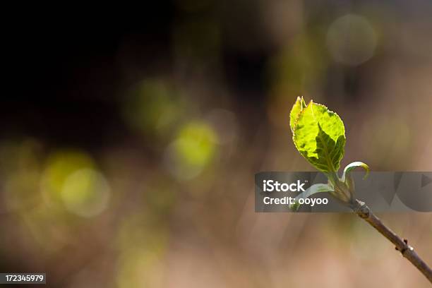 Nuova Vita - Fotografie stock e altre immagini di Ambientazione esterna - Ambientazione esterna, Ambiente, Bambino