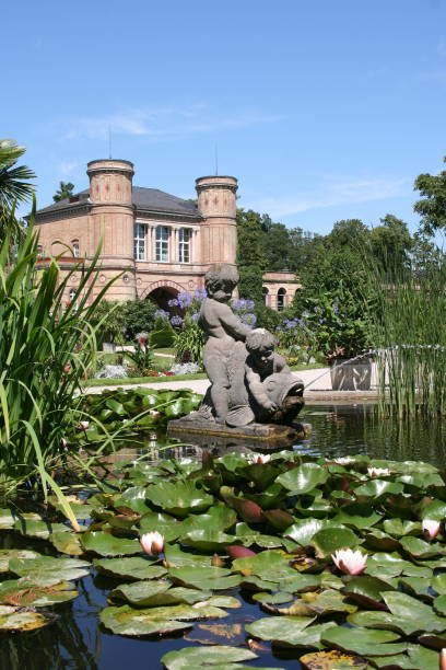 istock water lily pond in a botanical garden 172345990