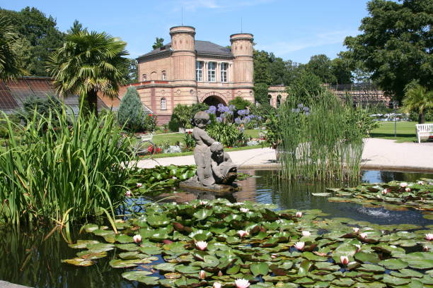 istock water lily pond in a botanical garden 172346000
