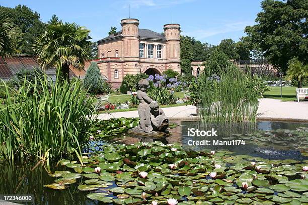 Lagoa De Água Em Um Jardim Botânico - Fotografias de stock e mais imagens de Ajardinado - Ajardinado, Alemanha, Antigo