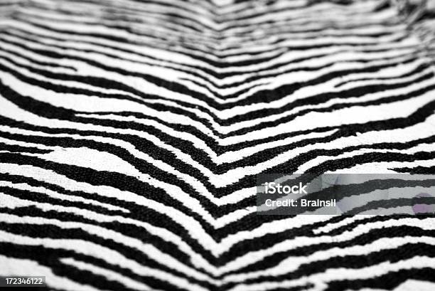 Zebra 쥐젖 0명에 대한 스톡 사진 및 기타 이미지 - 0명, 검은색, 동물 무늬