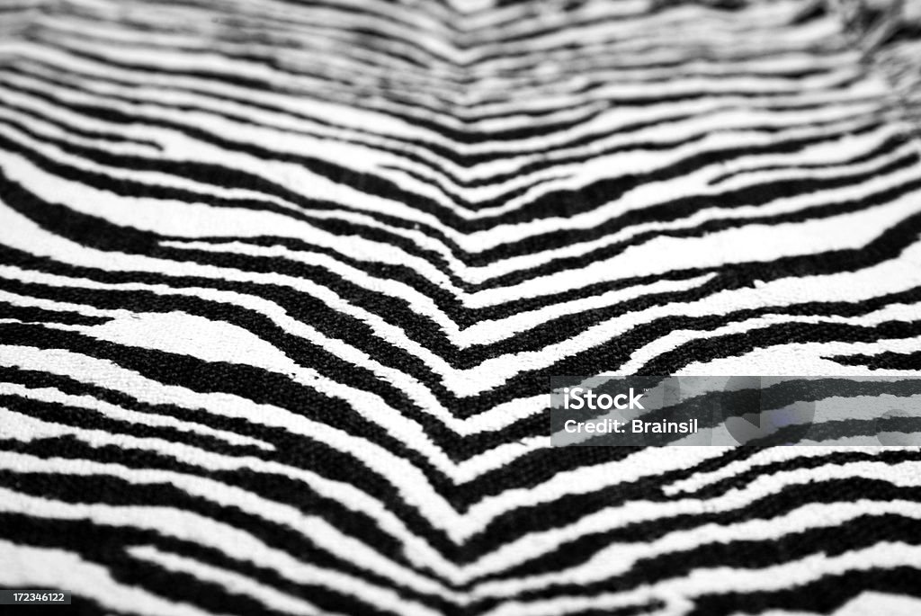 Zebra skóry - Zbiór zdjęć royalty-free (Abstrakcja)