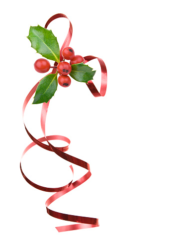 A red ribbon and holly on white.