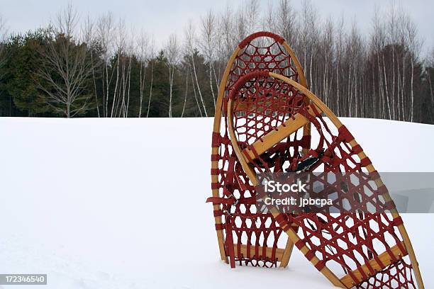 Snowshoes - Fotografias de stock e mais imagens de Andar de Raquetas de Neve - Andar de Raquetas de Neve, Ao Ar Livre, Beleza