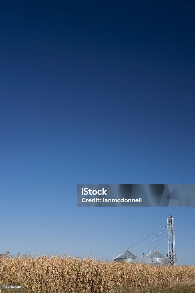 silo et maïs - Photo de Ferme - Aménagement de l'espace libre de droits