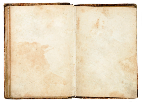 Blank Aged Book