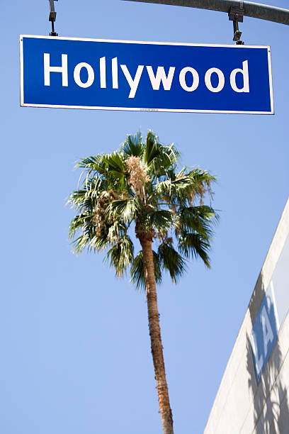 istock Hollywood Boulevard sign hangs above palm tree 172346596