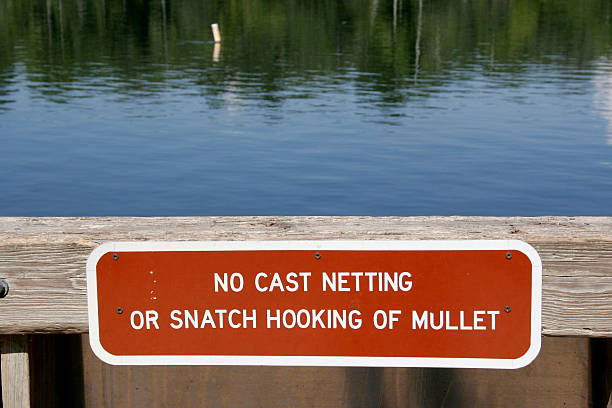 istock No Netting or Snatching of Mullets 172346604