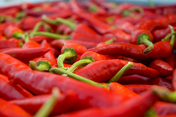 Pimientos rojos - foto de stock