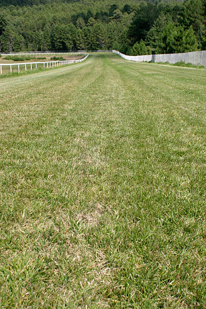 Photo of Horseracing track