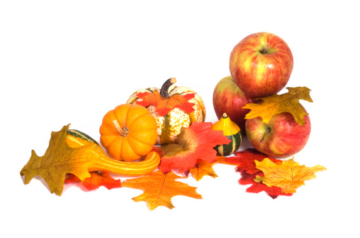 Autumn harvest concept. Top view photo of vegetables pumpkins zucchini corn pattypans apples pear pepper gourds sunflowers and rowan on isolated orange background with empty space