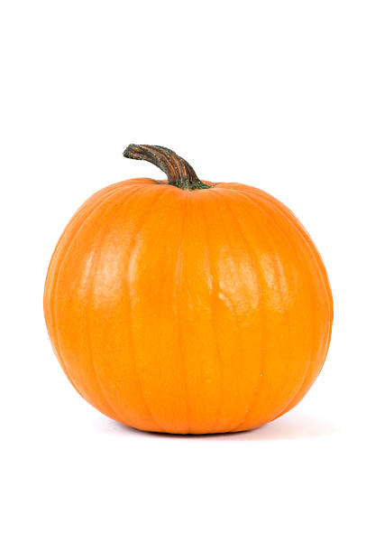 istock Perfect Autumn Pumpkin Isolated on White Design Element 172347237