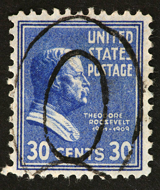 bollo di theodore roosevelt - president postage stamp profile usa foto e immagini stock
