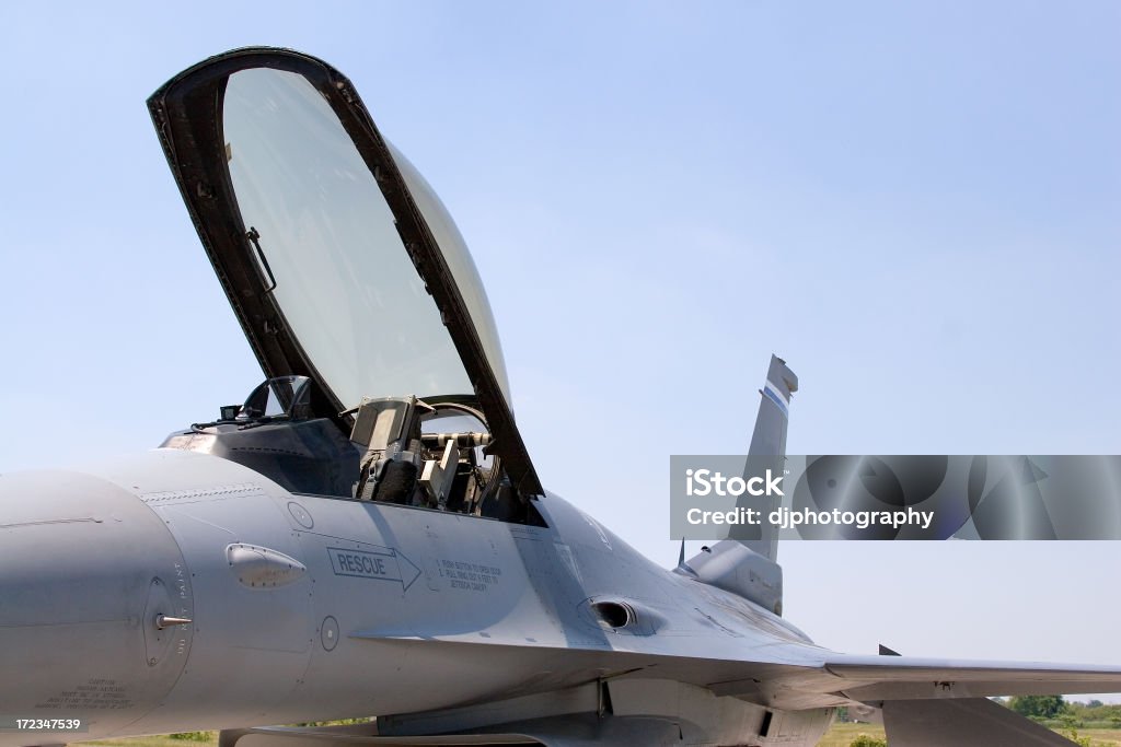 F - 16 con Viper - Foto de stock de Guardia Nacional Estadounidense libre de derechos