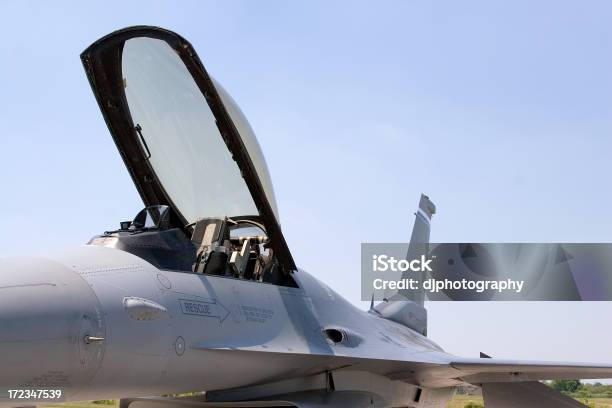 F 16 Con Viper Foto de stock y más banco de imágenes de Guardia Nacional Estadounidense - Guardia Nacional Estadounidense, Vehículo aéreo, Armamento