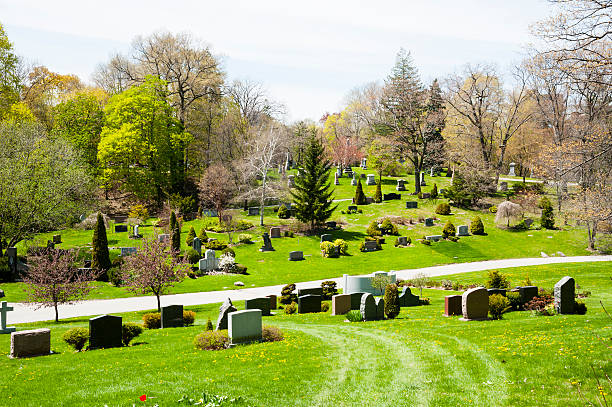 sepolto - new life death cemetery flower foto e immagini stock