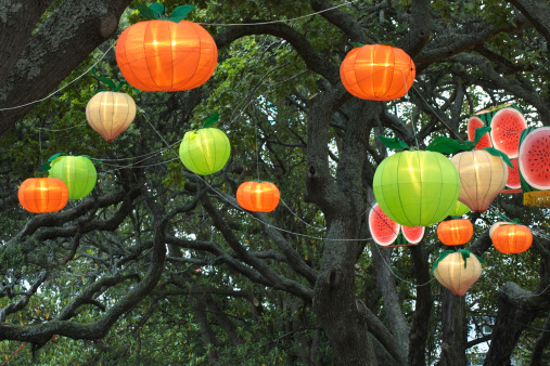 Range of chinese lanterns hanging in trees during this years festival of light