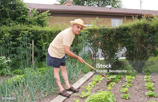 Активный Старший — стоковые фотографии и другие картинки 60-69 лет - 60-69 лет, 70-79 лет, Активный образ жизни