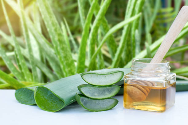 istock Aloe vera plant and honey 1723486231