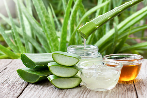 Aloe vera leaf with aloevera gel and honey on wooden table with green nature background.
