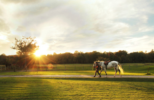The sun sets over the farm as horse and rider make their way back from a riding lesson.