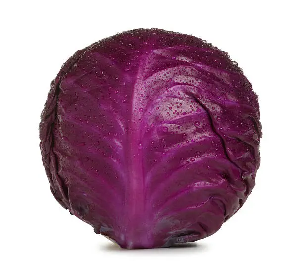 Red cabbage on white with soft shadow