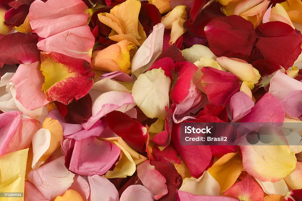 Petals - Foto de stock de Abstrato royalty-free
