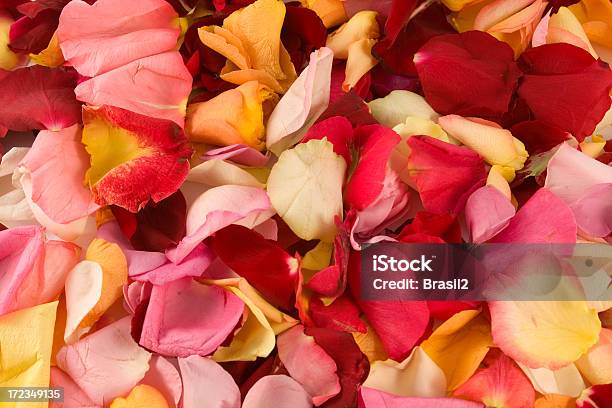 Foto de Petals e mais fotos de stock de Abstrato - Abstrato, Amarelo, Amor
