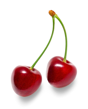 Two fresh picked cherries still attached to their stem.
